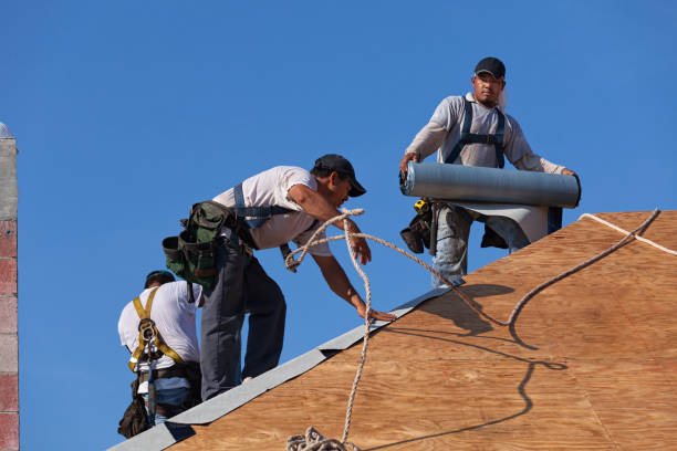 Best Local Roofing Companies  in Lindstrom, MN