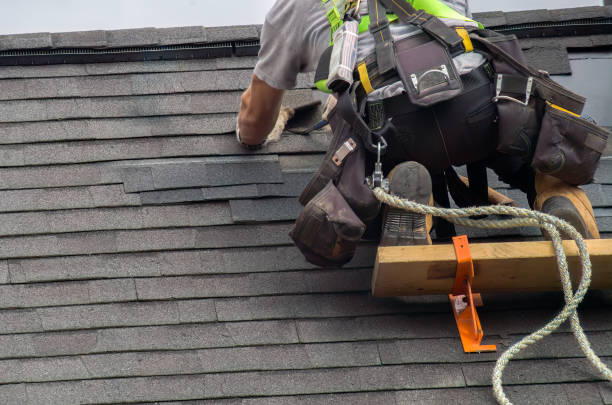 Best Roof Repair Services  in Lindstrom, MN
