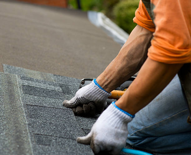 Best Flat Roof Repair Services  in Lindstrom, MN