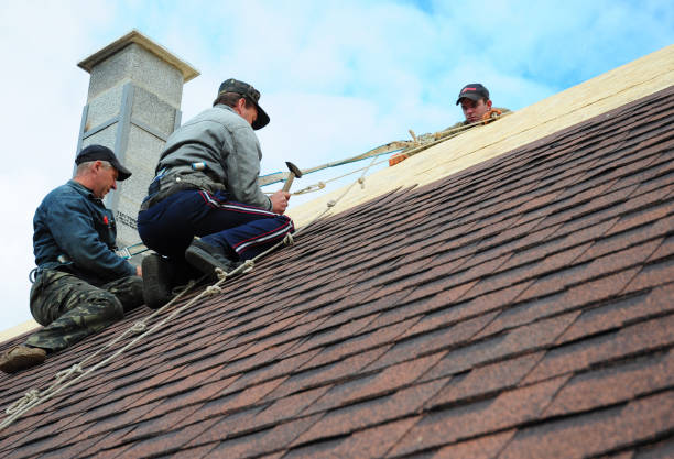 Best Flat Roof Repair Services  in Lindstrom, MN